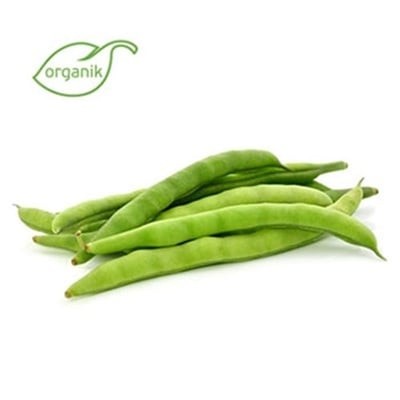 Organik Taze Fasulye (500 gr)